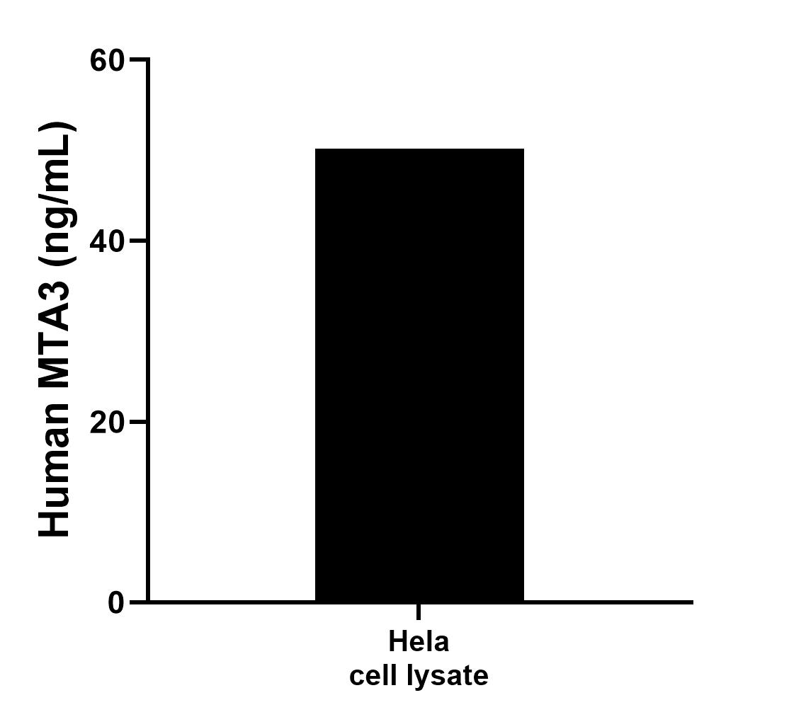 Sample test of MP00017-2